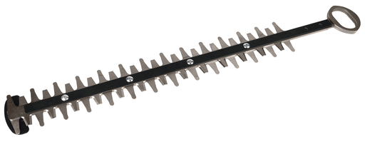 Heggen- en takkenscharen Heggen- en takkenscharen