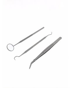 012373 Inspectieset 3 dlg RVS
