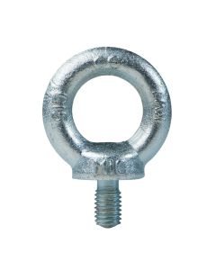 DX Ringschroef M20 verzinkt 1 st. op kaart