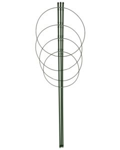 Talen Tools Plantensteun verstelbaar